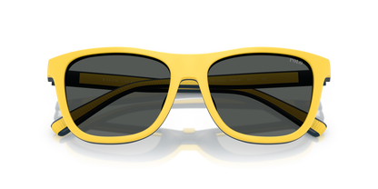 POLO PH4228U 590487 55