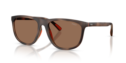 POLO PH4231U 597473 57