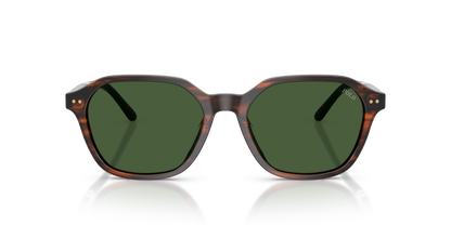 POLO PH4234U 631571 54