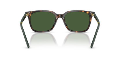 POLO PH4235U 500371 54