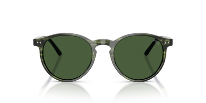 POLO PH4236 631671 50