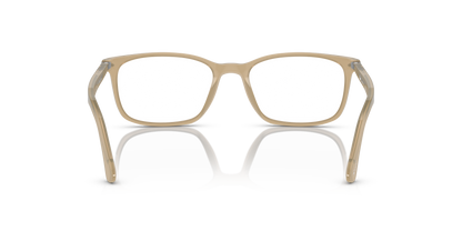 PERSOL PO3189V 1169 53