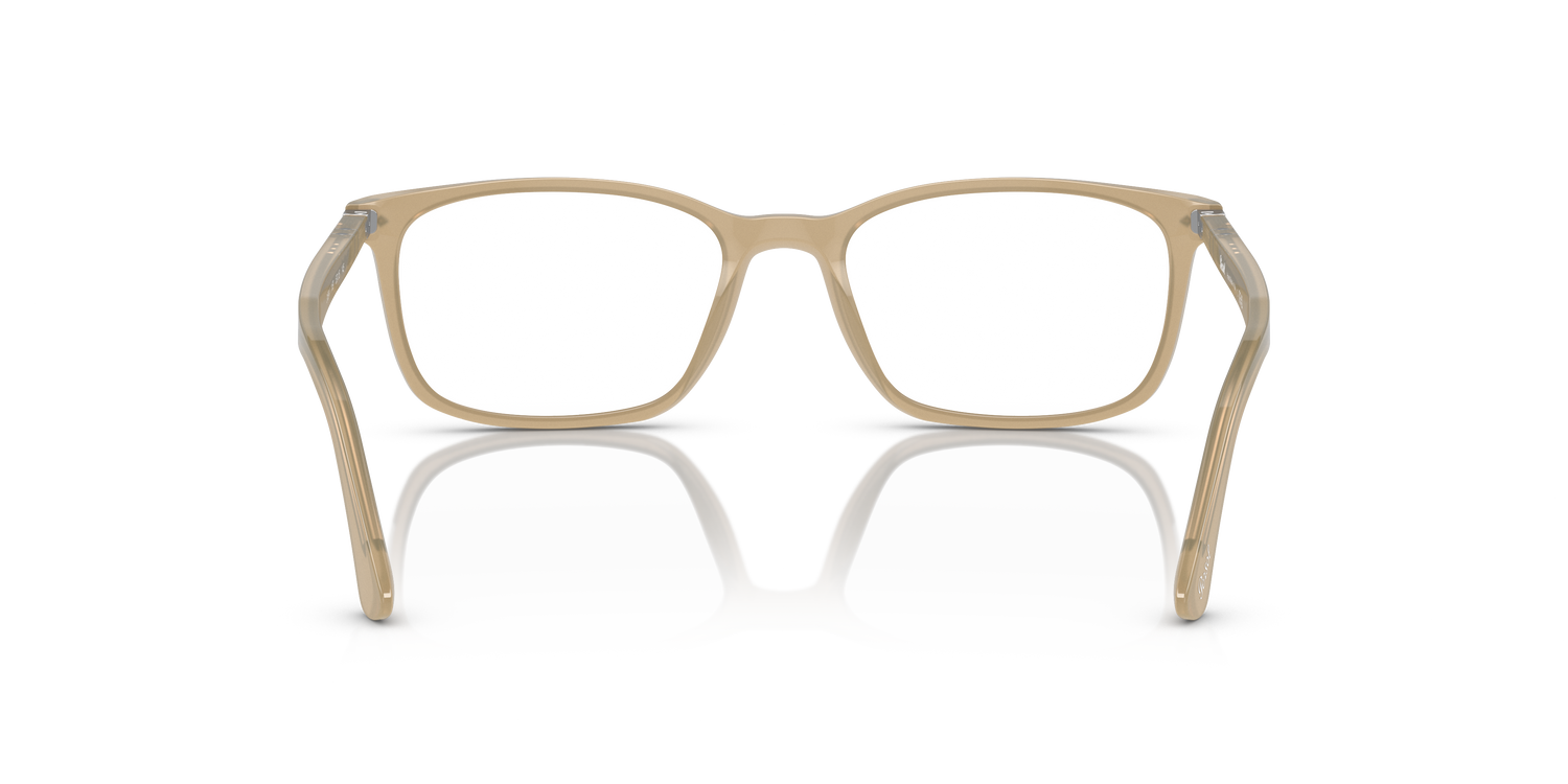 PERSOL PO3189V 1169 55