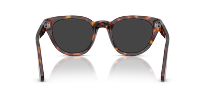 PERSOL PO3379S 24/48 54