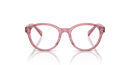 POLO PP8546U 5220 47