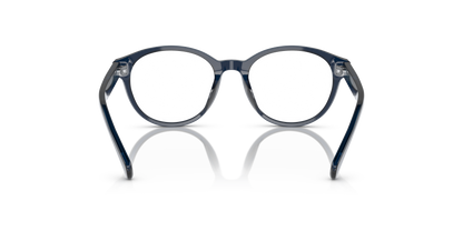 POLO PP8546U 5964 47