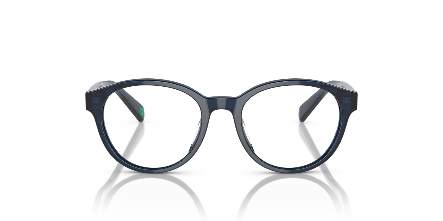 POLO PP8546U 5964 45