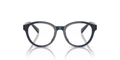 POLO PP8546U 5964 49