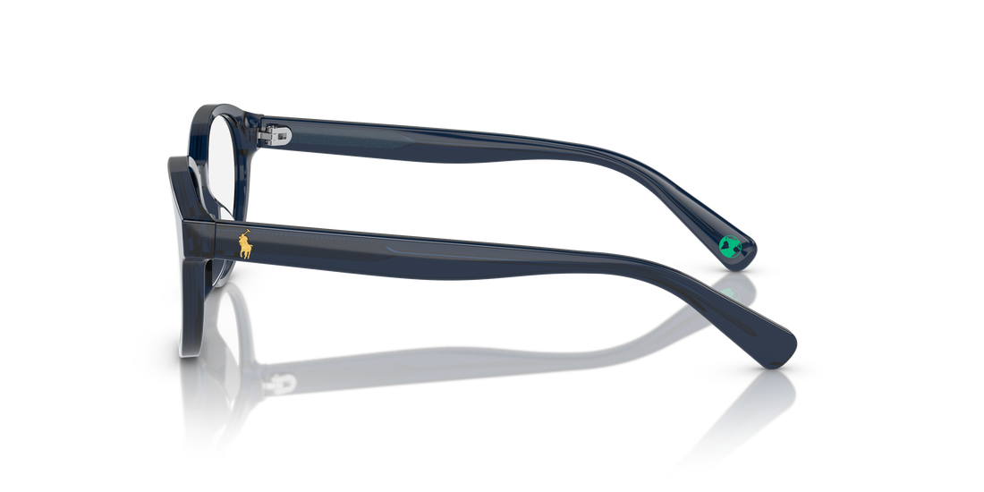 POLO PP8546U 5964 47