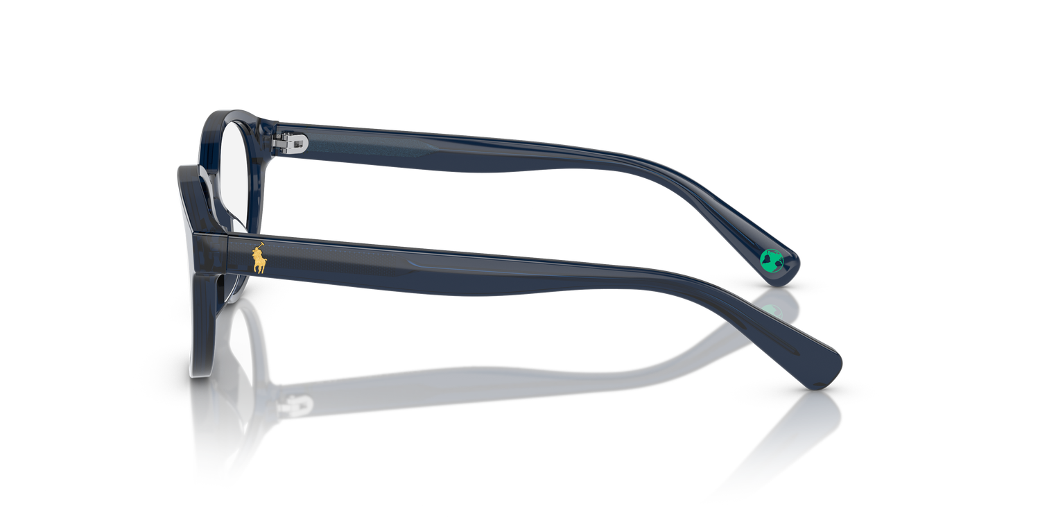 POLO PP8546U 5964 47