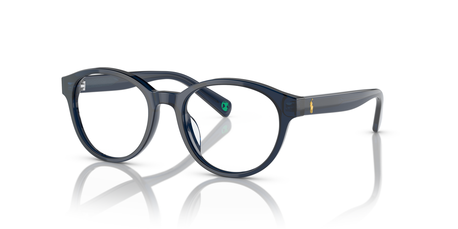 POLO PP8546U 5964 45