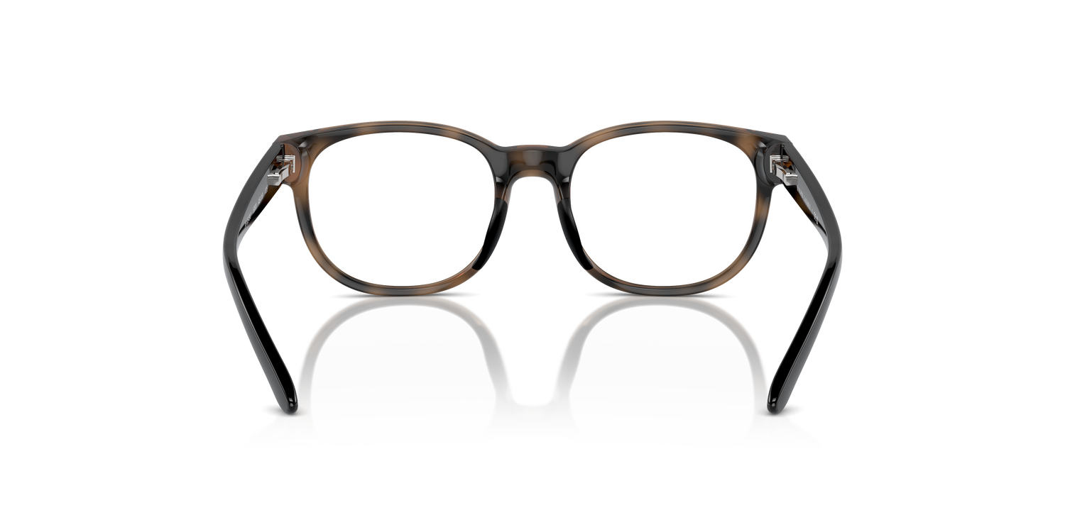 POLO PP8549U 5003 45