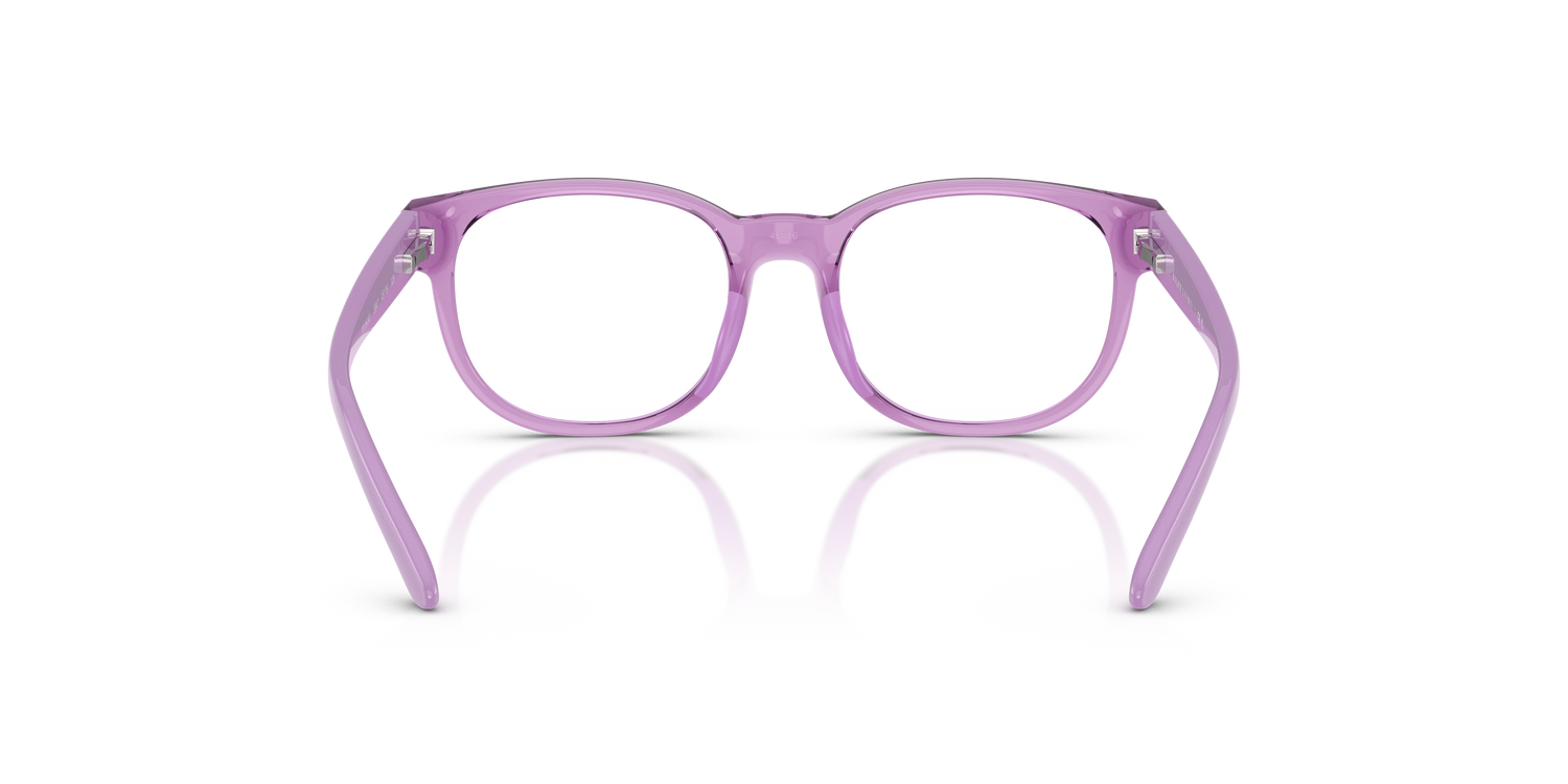 POLO PP8549U 5947 43