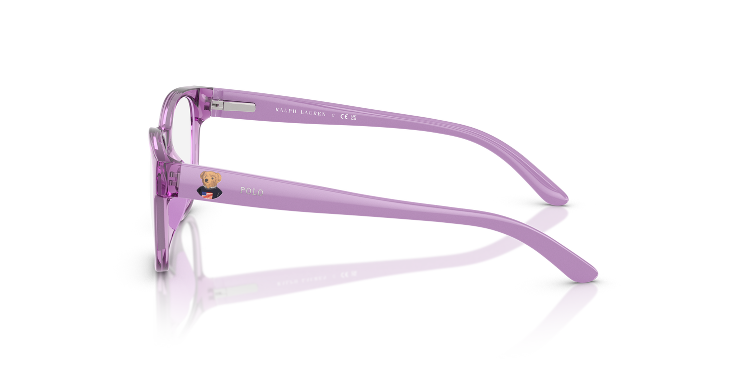 POLO PP8549U 5947 43