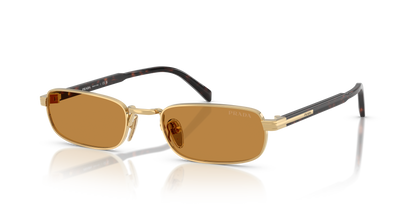 PRADA PR B54S 5AK50P 54