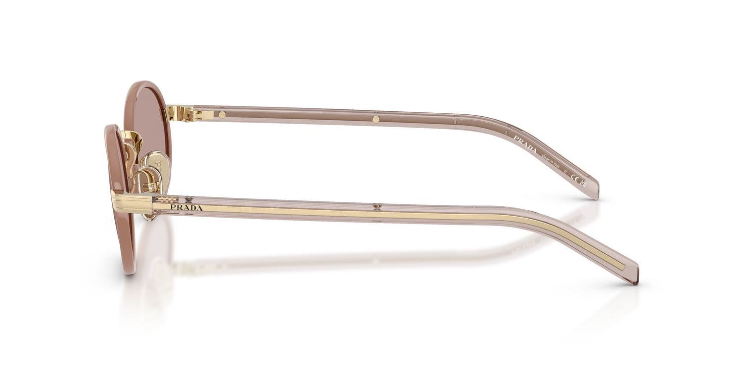 PRADA PR B56S 24E20I 52