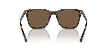 RALPH RA5314U 500387 54