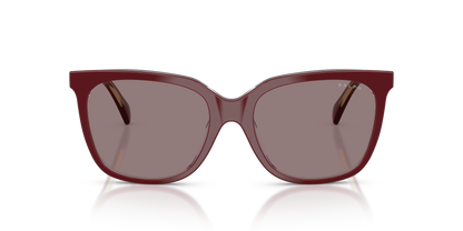 RALPH RA5343U 62997N 55