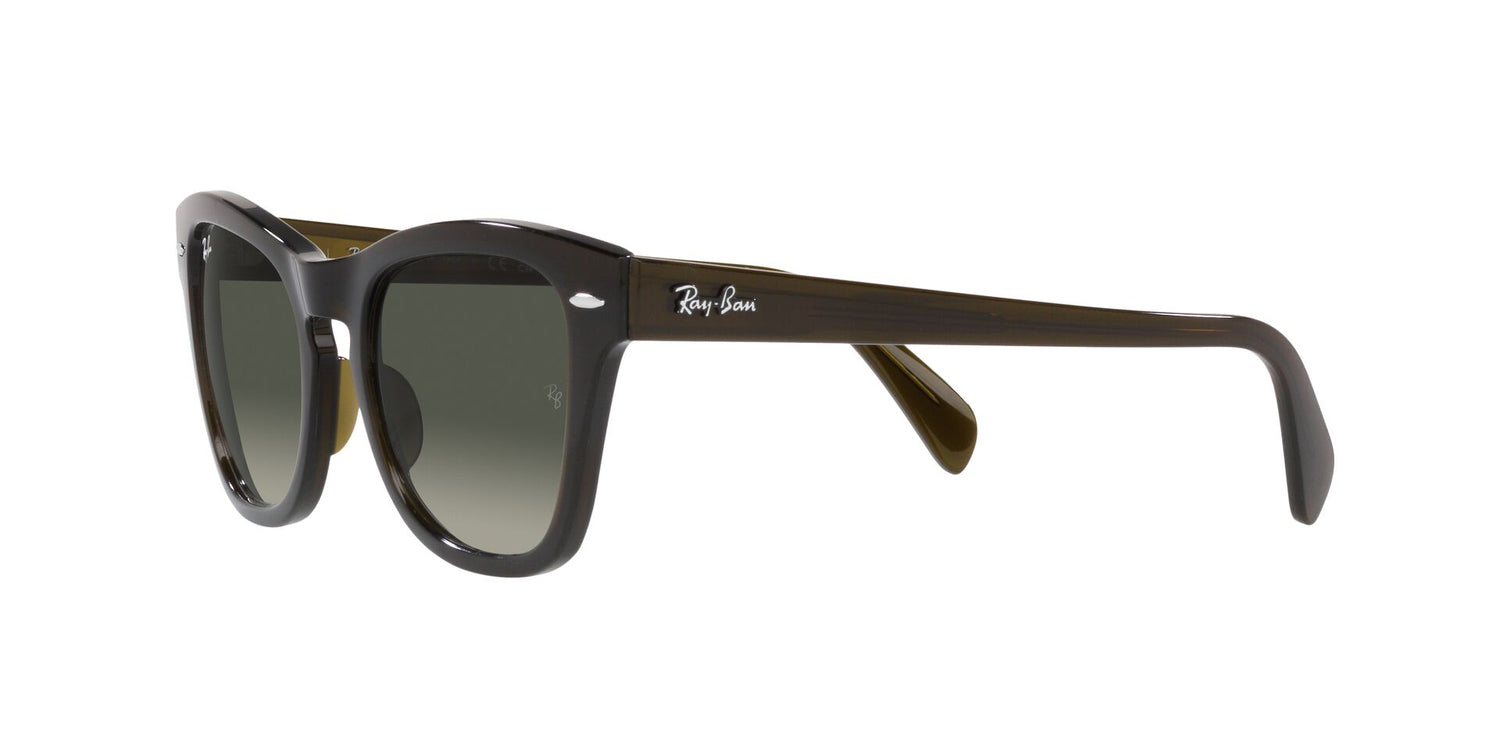RAY-BAN RB0707S 664271 53