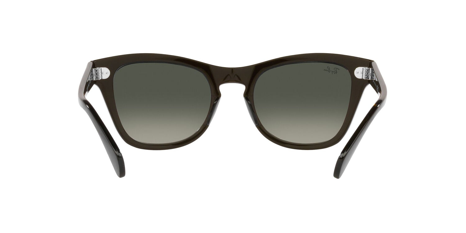 RAY-BAN RB0707S 664271 53