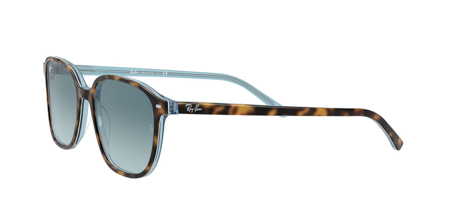 RAY-BAN RB2193 LEONARD 13163M 53