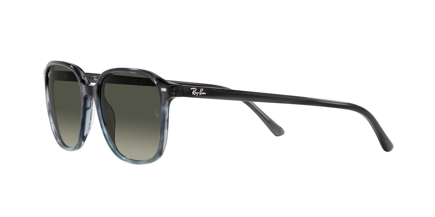 RAY-BAN RB2193 LEONARD 138171 53