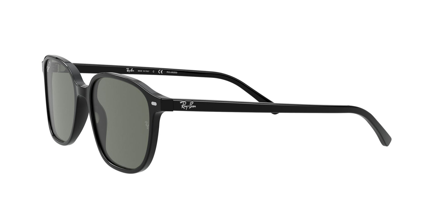 RAY-BAN RB2193 LEONARD 901/58 53