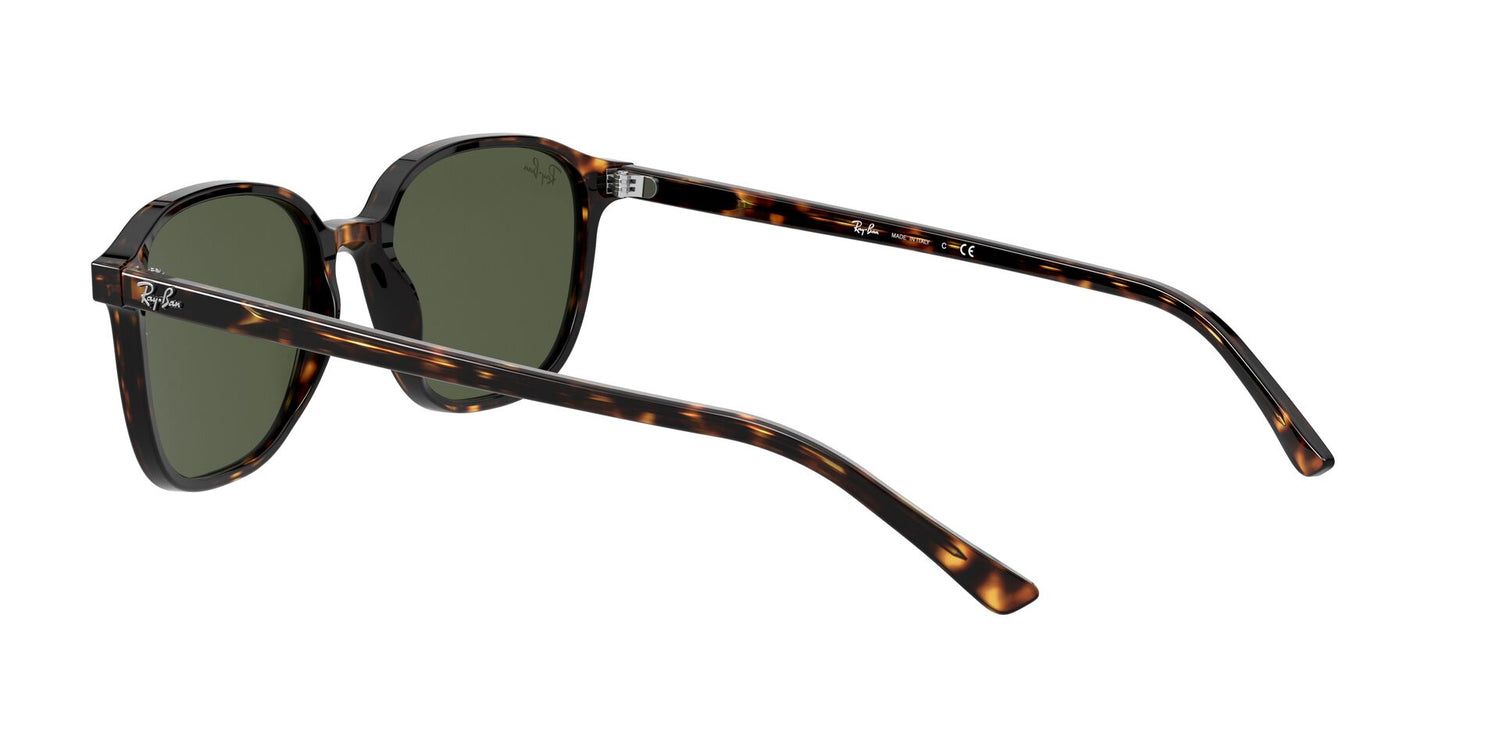 RAY-BAN RB2193 LEONARD 902/31 53
