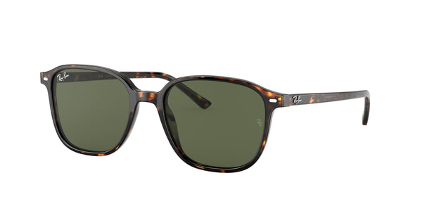 RAY-BAN RB2193 LEONARD 902/31 53