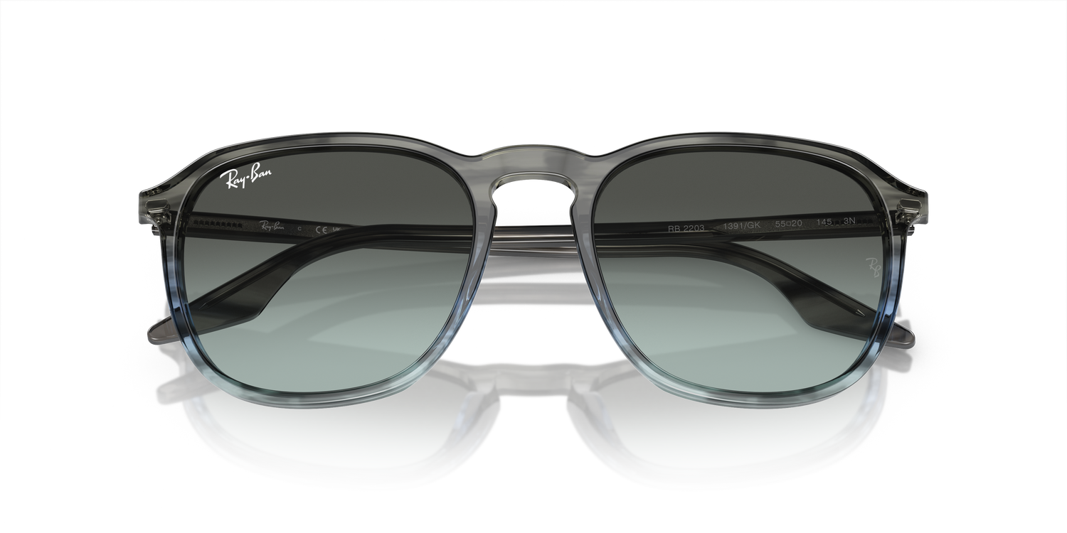 RAY-BAN RB2203 1391GK 55