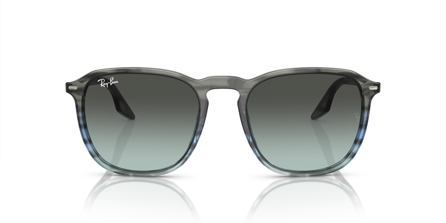 RAY-BAN RB2203 1391GK 52