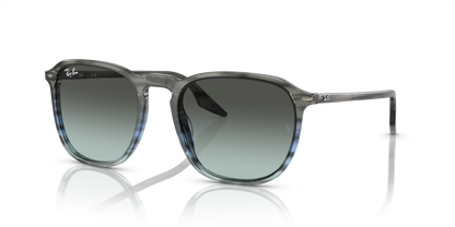 RAY-BAN RB2203 1391GK 55
