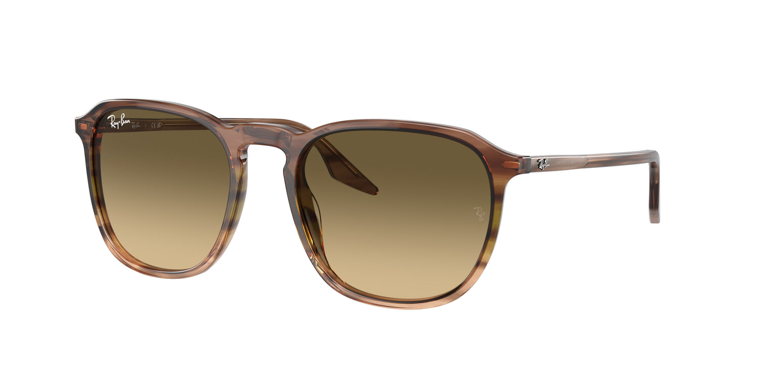RAY-BAN RB2203 13920A 52
