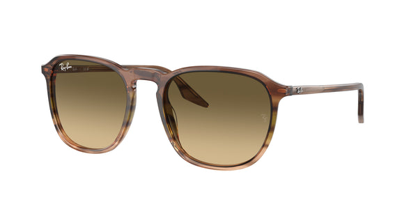 RAY-BAN RB2203 13920A 52