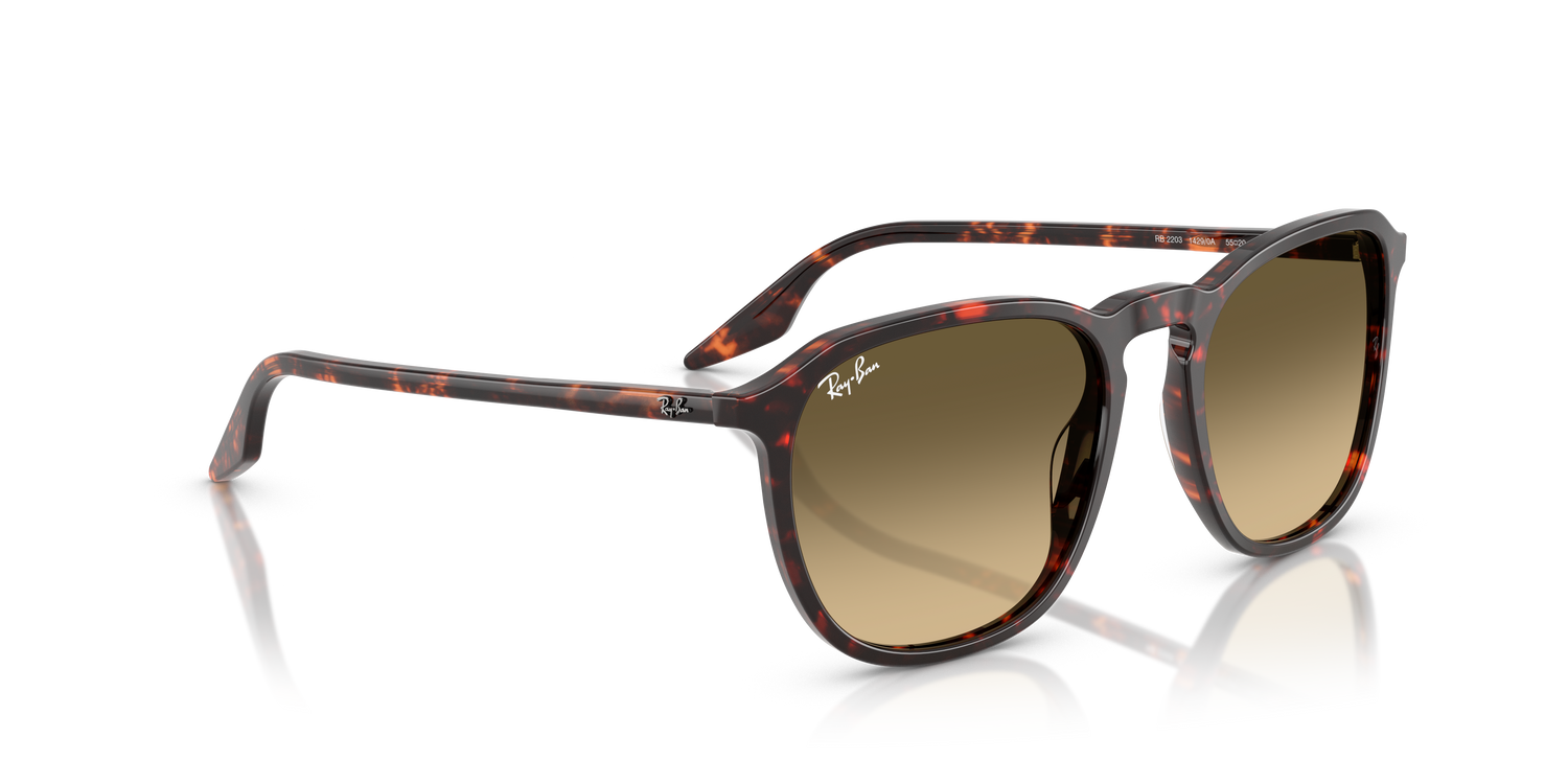 RAY-BAN RB2203 14290A 52