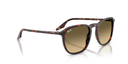 RAY-BAN RB2203 14290A 52