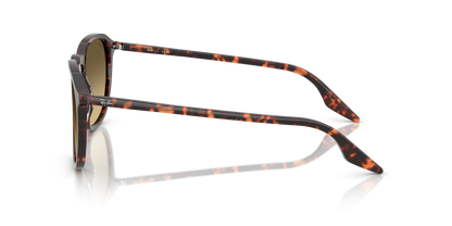 RAY-BAN RB2203 14290A 55