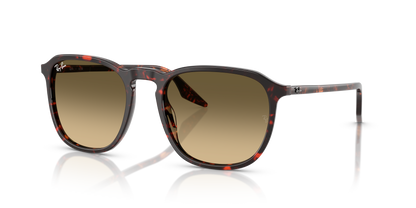 RAY-BAN RB2203 14290A 52