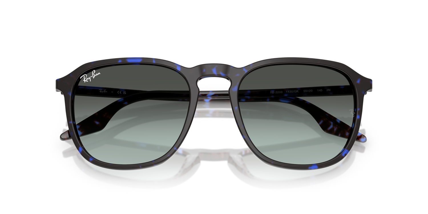 RAY-BAN RB2203 1430GK 52