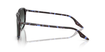 RAY-BAN RB2203 1430GK 55