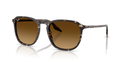 RAY-BAN RB2203 143185 52