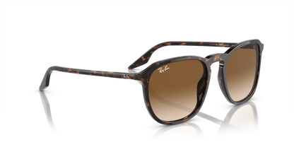 RAY-BAN RB2203 902/51 52 - 19