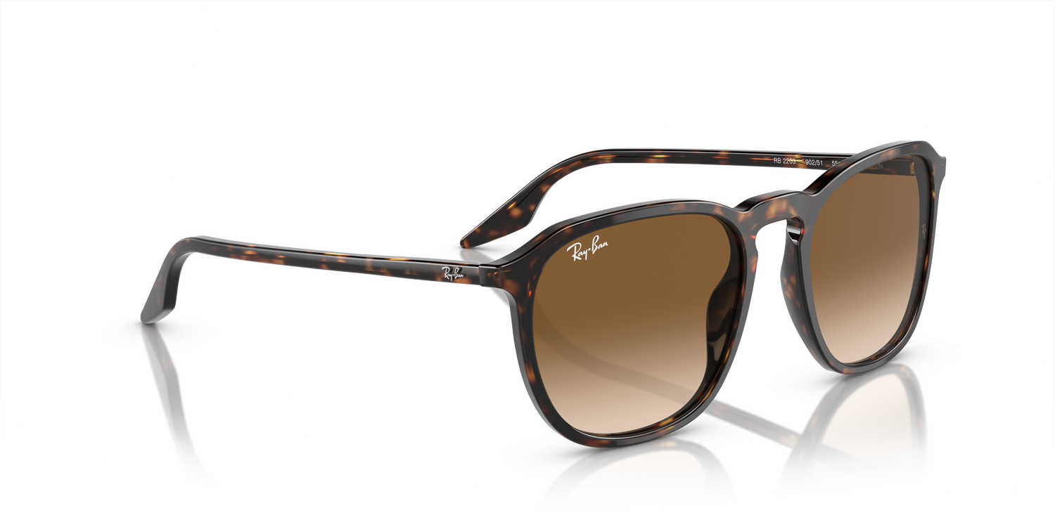 RAY-BAN RB2203 902/51 55