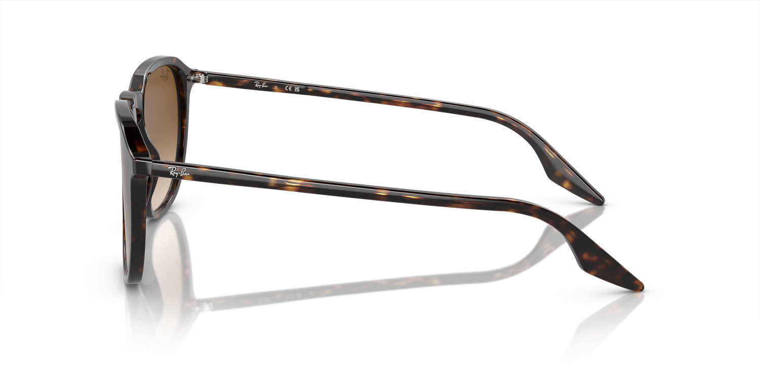 RAY-BAN RB2203 902/51 52 - 17