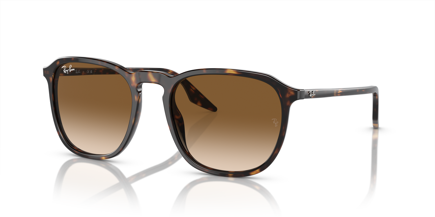 RAY-BAN RB2203 902/51 52 - 22