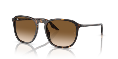 RAY-BAN RB2203 902/51 52 - 22