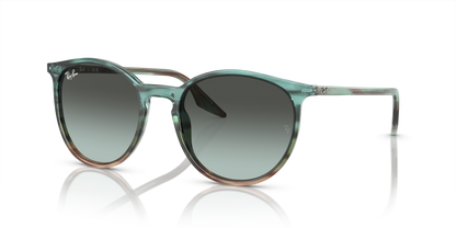 RAY-BAN RB2204 1394GK 54