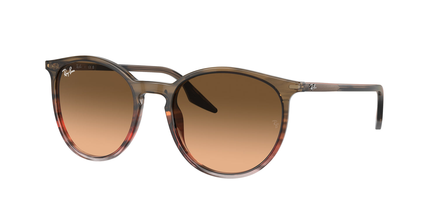 RAY-BAN RB2204 13953B 54