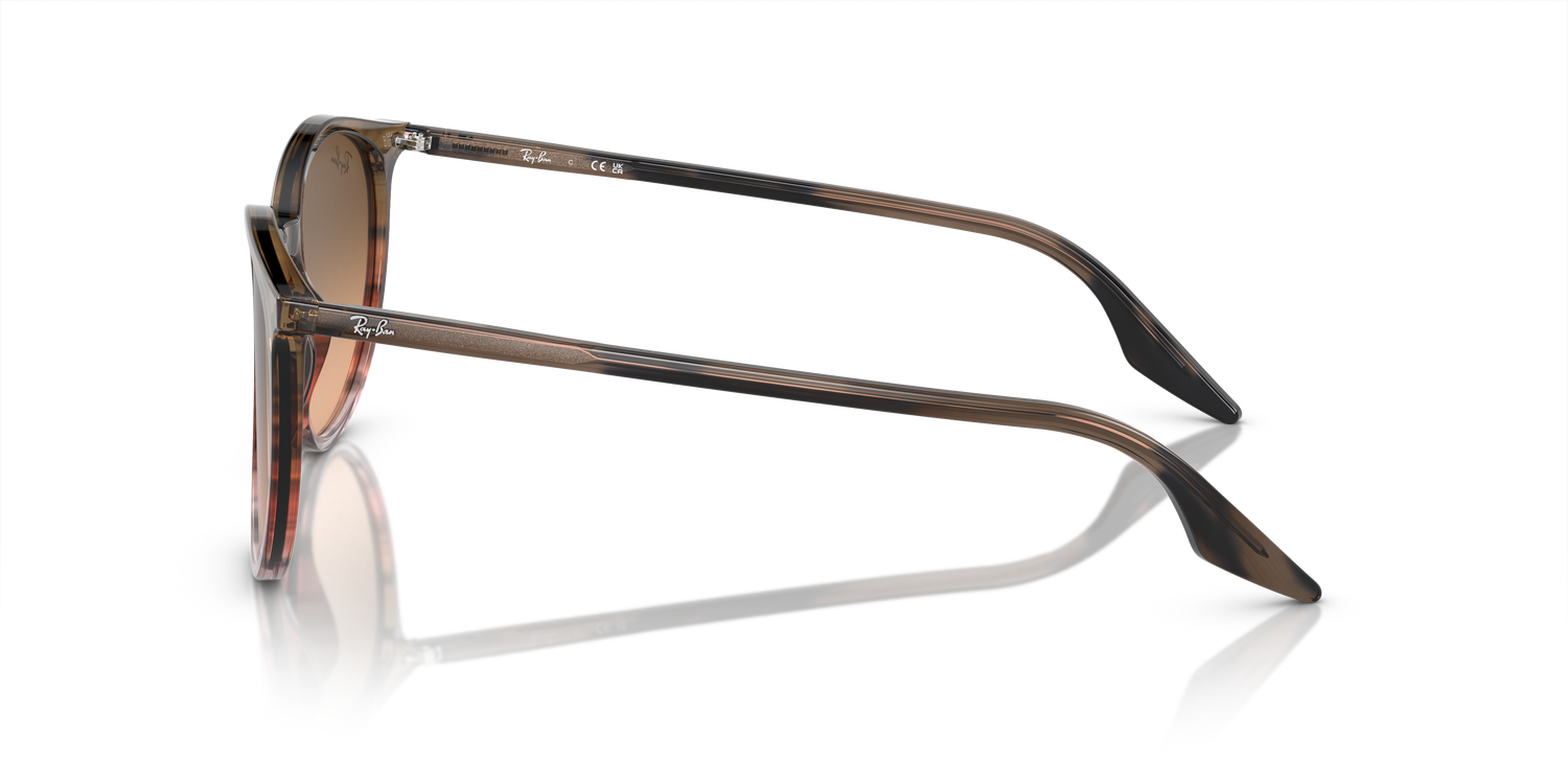 RAY-BAN RB2204 13953B 54