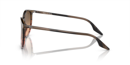 RAY-BAN RB2204 13953B 54